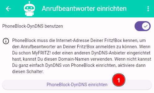 Set up DynDNS